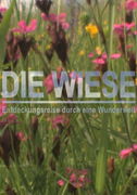 Cover des Mediums