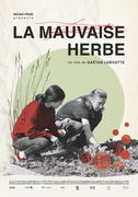Cover des Mediums